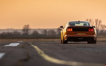 Jízda ve Ford Mustang Roush Stage 3