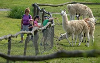 Celodenní vstup do Farmaparku Soběhrdy