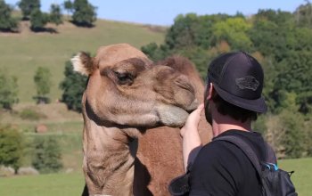 Celodenní vstup do Farmaparku Soběhrdy