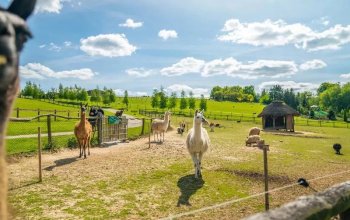 Celodenní vstup do Farmaparku Soběhrdy