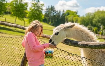 Celodenní vstup do Farmaparku Soběhrdy