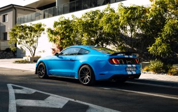 Jízda v supersportu Ford Mustang GT500 Paket