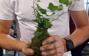 Oblíbený kreativní kurz: Výroba kokedamy v Praze