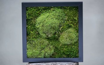 Kreativní kurz: Výroba mechových obrazů v Praze