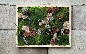 Kreativní kurz: Výroba mechových obrazů v Praze