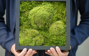 Kreativní kurz: Výroba mechových obrazů v Praze