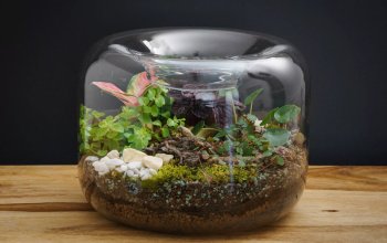 Kreativní workshop v Praze: Zahrada v lahvi