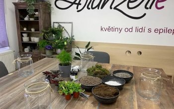 Kreativní workshop v Praze: Zahrada v lahvi