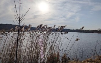 Po stopách tajného agenta: Venkovní úniková hra