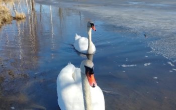 Po stopách tajného agenta: Venkovní úniková hra