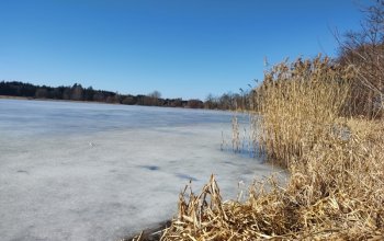 Po stopách tajného agenta: Venkovní úniková hra