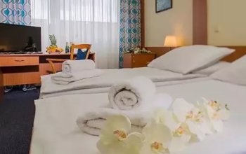 Wellness pobyt v Top Hotelu Praha **** s polopenzí