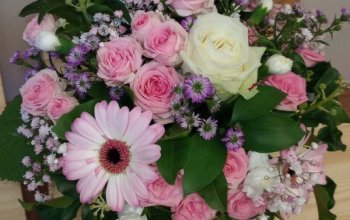 Kurz floristiky pro začátečníky