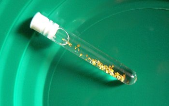 Venkovní hra: Rýžování zlata na Klondiku