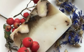 Kurz výroby přírodní kosmetiky z bylinek