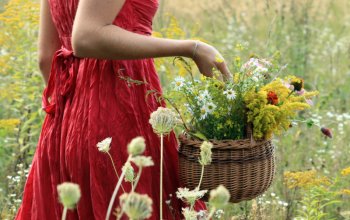 Procházka za bylinkami s ochutnávkou nebo výrobou…