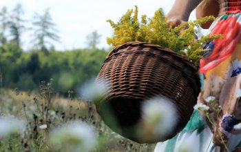 Procházka za bylinkami s ochutnávkou nebo výrobou…