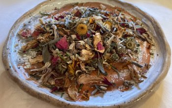 Procházka za bylinkami s ochutnávkou nebo výrobou…