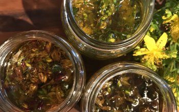 Procházka za bylinkami s ochutnávkou nebo výrobou…