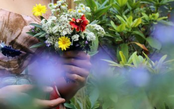 Procházka za bylinkami s ochutnávkou nebo výrobou…