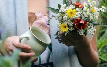 Procházka za bylinkami s ochutnávkou nebo výrobou…