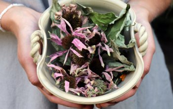 Procházka za bylinkami s ochutnávkou nebo výrobou…