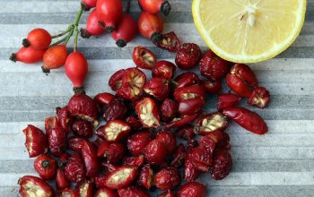 Procházka za bylinkami s ochutnávkou nebo výrobou…