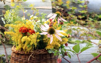 Procházka za bylinkami s ochutnávkou nebo výrobou…