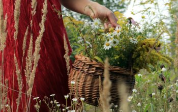 Procházka za bylinkami s ochutnávkou nebo výrobou…