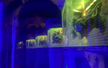 Galactic Pioneers: Sci-fi úniková hra v Praze