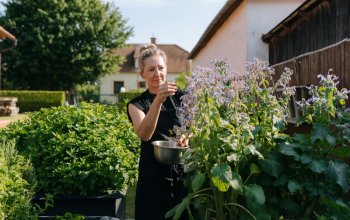 Wellness pobyt pro ženy na jižní Moravě