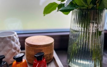 Wellness pobyt pro ženy na jižní Moravě