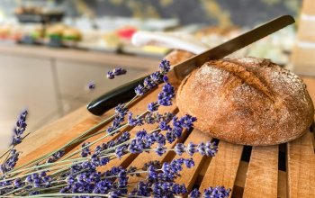 Wellness pobyt pro ženy na jižní Moravě