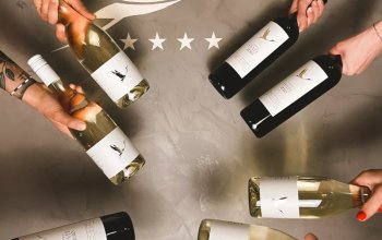 Wellness pobyt pro ženy na jižní Moravě