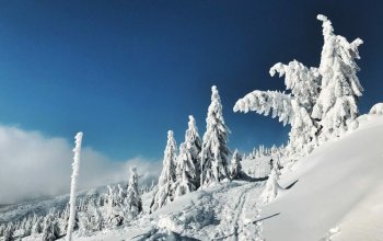 Kurz skialpy pro začátečníky a pokročilé: Rakousko
