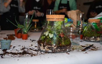 Kreativní workshop: Výroba mechárií