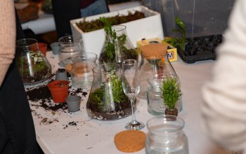 Kreativní workshop: Výroba mechárií