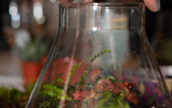 Kreativní workshop: Výroba mechárií