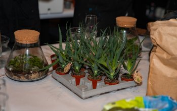 Kreativní workshop: Výroba mechárií