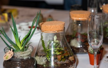 Kreativní workshop: Výroba mechárií