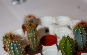 Kreativní workshop: Výroba mechárií