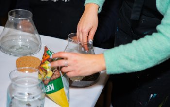 Kreativní workshop: Výroba mechárií