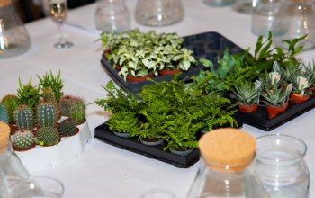 Kreativní workshop: Výroba mechárií