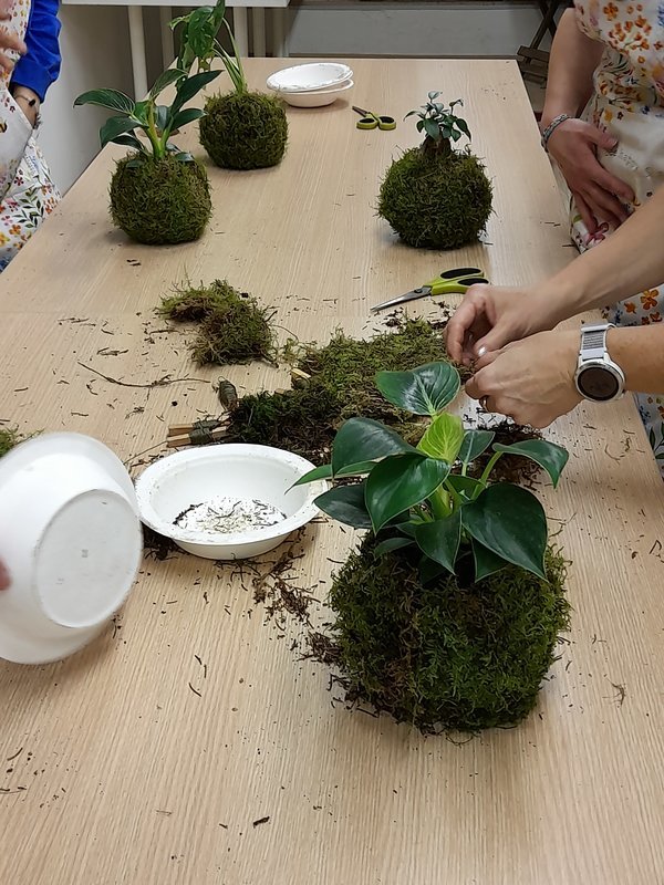 Tvoření z mechu: Mechový obraz nebo japonská kokedama