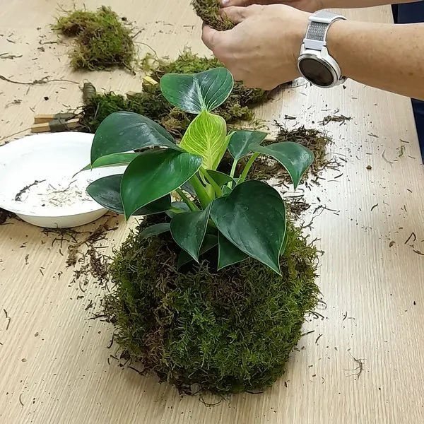 Tvoření z mechu: Mechový obraz nebo japonská kokedama