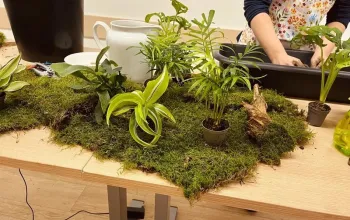 Tvoření z mechu: Mechový obraz nebo japonská kokedama