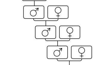 Sestavení osobního rodokmenu Celá ČR