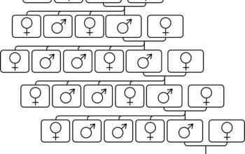 Sestavení osobního rodokmenu Celá ČR