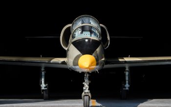 Let stíhačkou L-39 Albatros