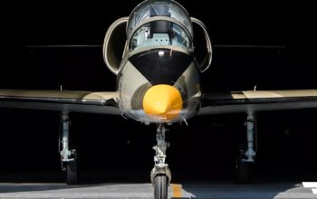 Let stíhačkou L-39 Albatros